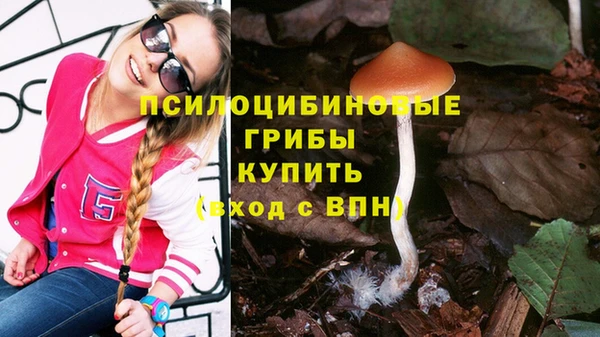 apvp Лабытнанги